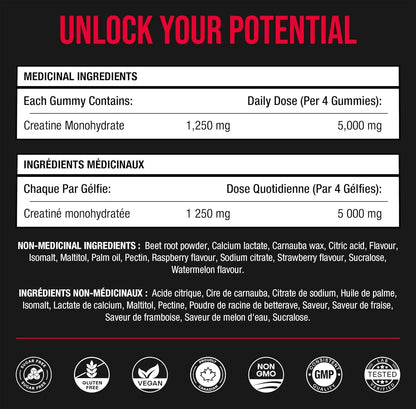Creatine Gummies – Creatine Monohydrate – 120 Gummies (1250 mg Each)