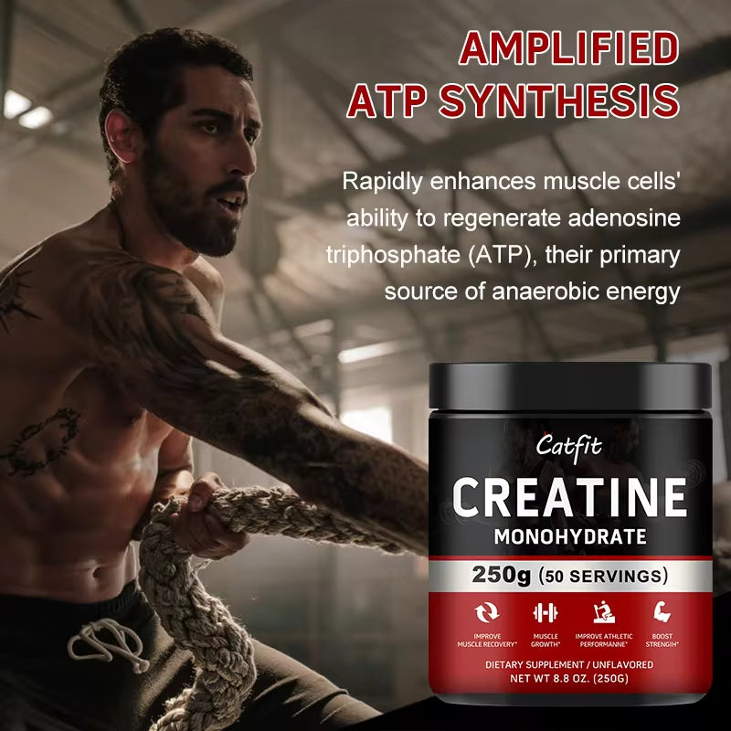 Catfit Creatine Monohydrate Sports Drink Improve Gain Strength Build Muscle&Enhance Athletic Muscle Protein Gym Performance